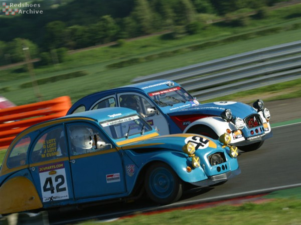 Turquoise Tortoise / Team Spirit