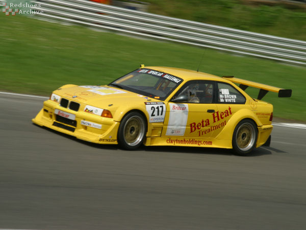 Brown / White - BMW GTR