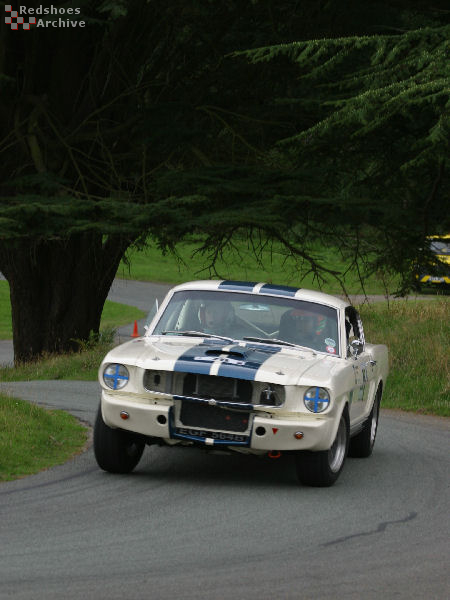 Shelby GT350