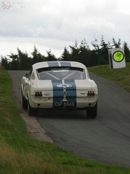 Shelby GT350