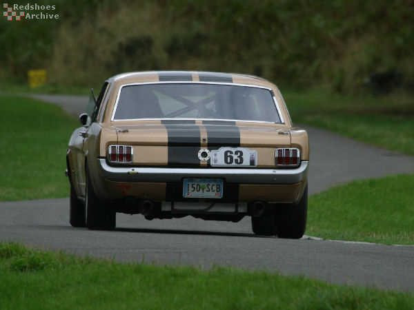 Ford Mustang 289