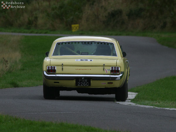 Ford Mustang 289