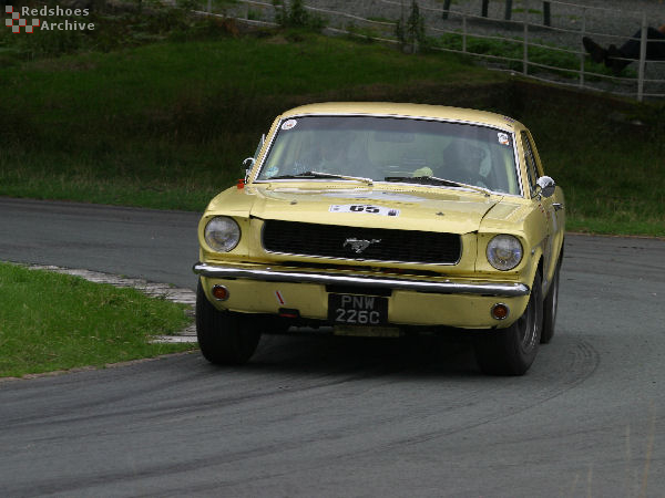 Ford Mustang 289