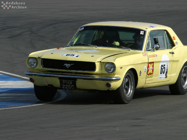 Ford Mustang 289