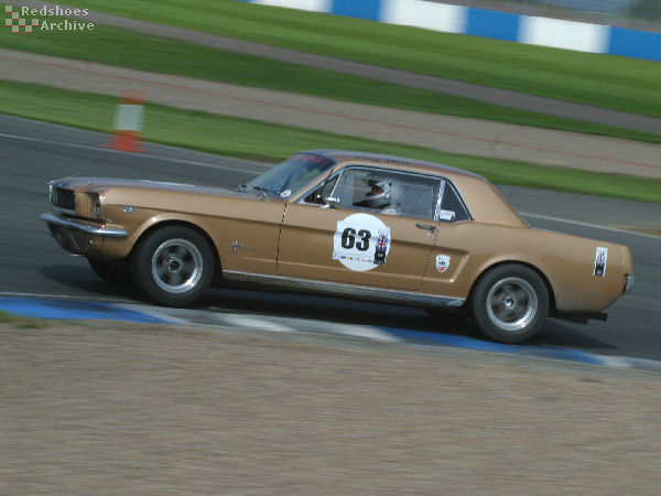 Ford Mustang 289