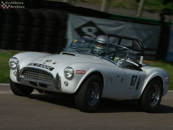 AC Cobra 289