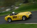 Stuart Bullas - Austin Healey Sprite