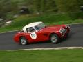 Roger Deans - Austin Healey 3000
