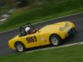 Robin Johnson - Austin Healey Sprite