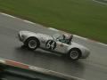 Steve Gray - AC Cobra