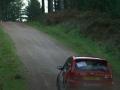 Tom Walster / Paul Wiliams - Ford Fiesta ST