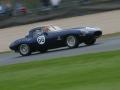 Peter Lloyd - Jaguar E Type Lightweight